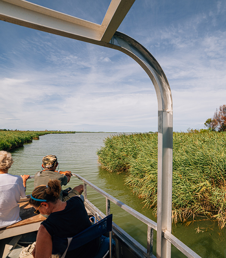 Escursioni in barca nel Delta del Po con itinerari personalizzati